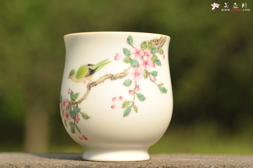 紫砂壶图片：新彩玉光白釉花鸟1 景德镇主人杯 - 全手工紫砂壶网