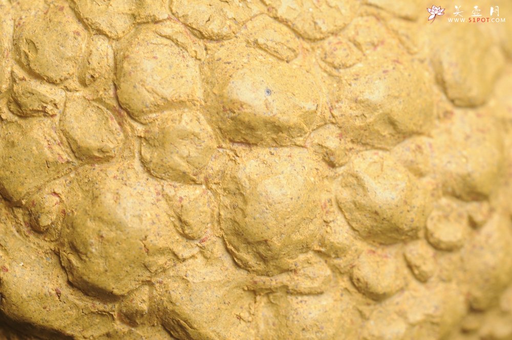 紫砂壶图片：美壶特惠 全手工黄段供春壶 肌理有老树瘿的感觉 灰常赞 - 全手工紫砂壶网