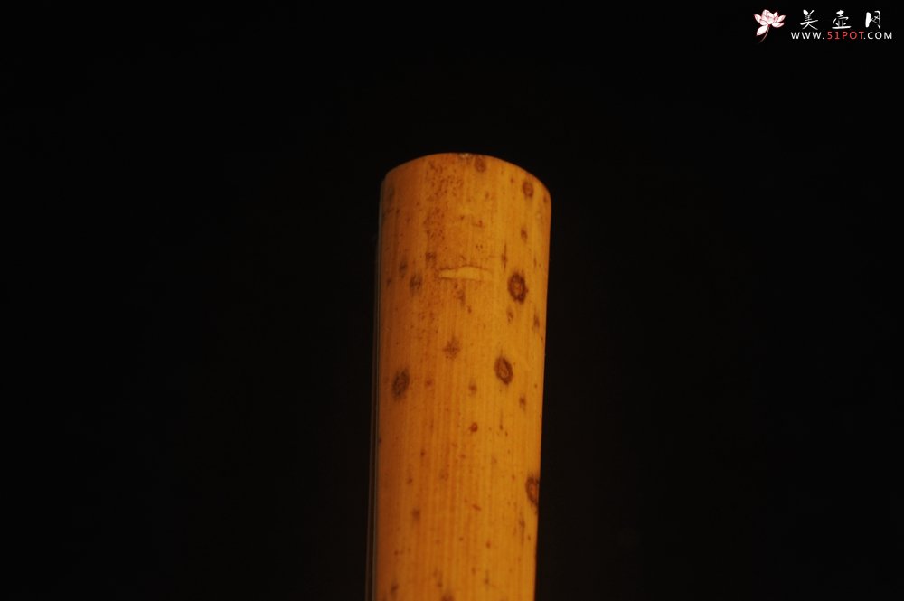 紫砂壶图片：自玩收藏级30年老凤眼扇骨 满天星老凤眼 9.5寸18方挑灯方 排口2.0少见 名家释普通法师书法 - 全手工紫砂壶网