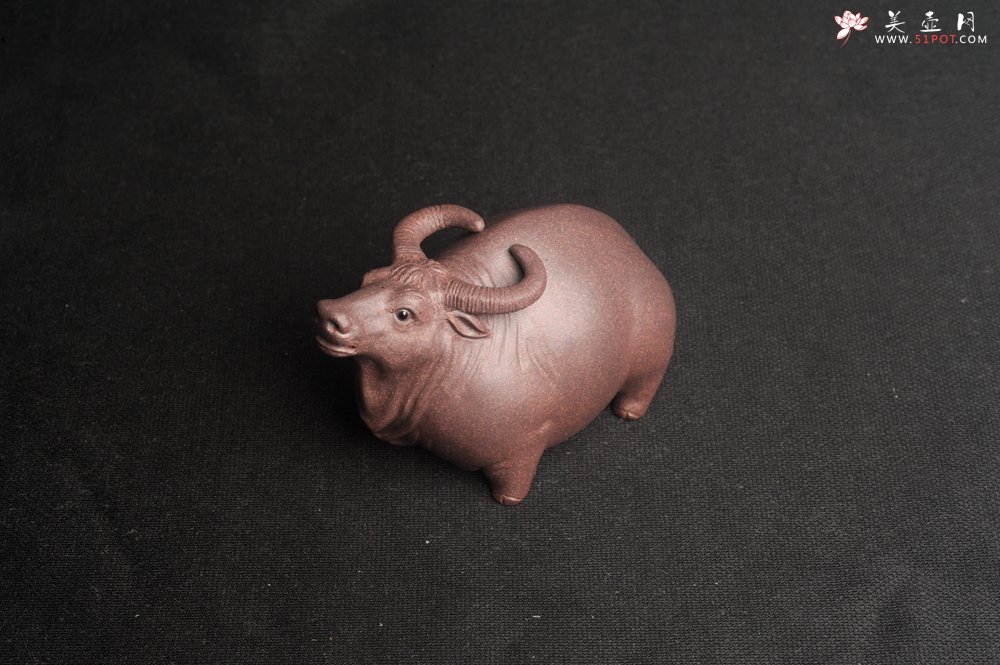 紫砂壶图片：美宠特惠 实力派工艺员姚老师  预计明年升助工  超精品老青灰泥孺子牛茶宠 长8cm高5cm  肌理 - 全手工紫砂壶网