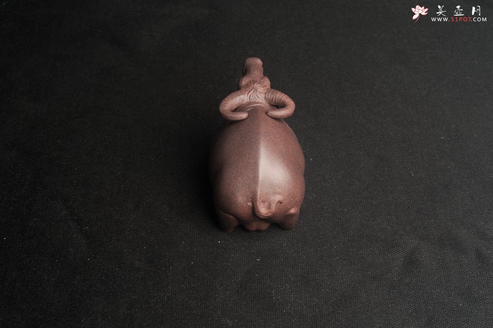 紫砂壶图片：美宠特惠 实力派工艺员姚老师  预计明年升助工  超精品老青灰泥孺子牛茶宠 长8cm高5cm  肌理 - 全手工紫砂壶网