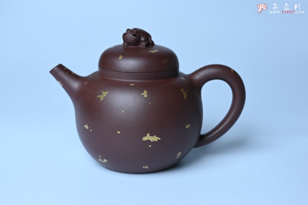 紫砂壶图片：潜力股周小培 全手工原创招财壶200cc 金蟾屹立于壶盖 撒金工艺铺满壶身 寓意黄金落满地 招财进宝 - 全手工紫砂壶网
