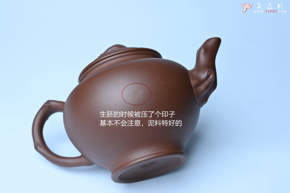 紫砂壶图片：美壶特惠 精致报春系列之梅花报春壶 - 全手工紫砂壶网