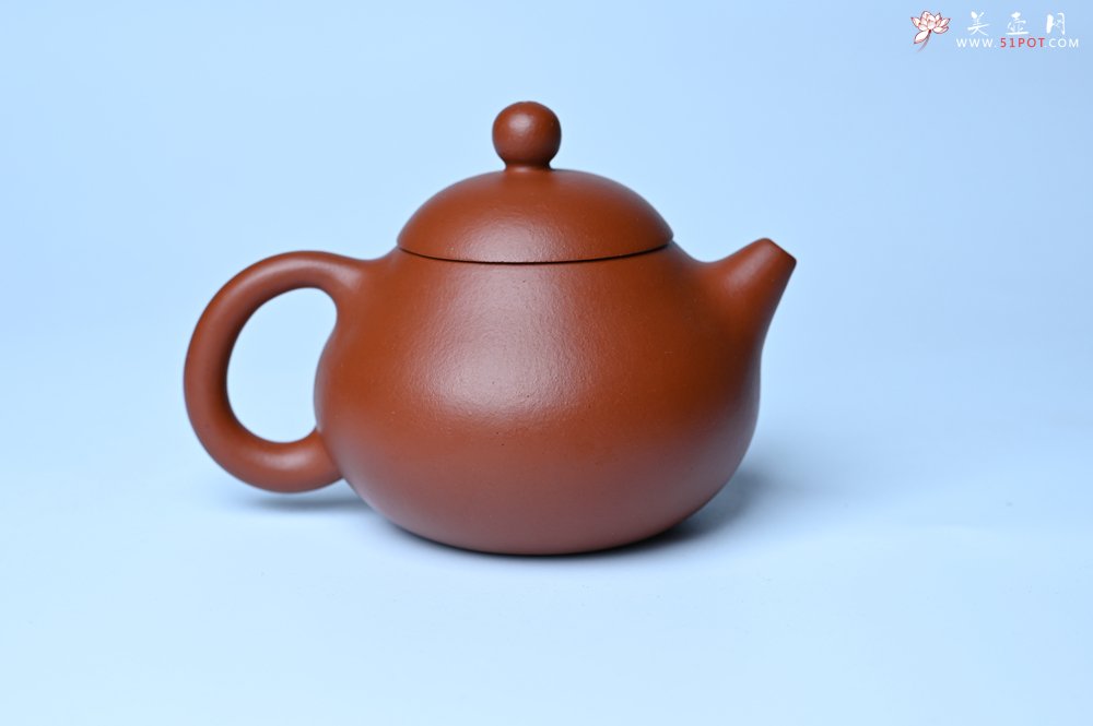 紫砂壶图片：美壶特惠定制最新实用力作 优质精致朱泥文旦壶 养后特润 - 全手工紫砂壶网