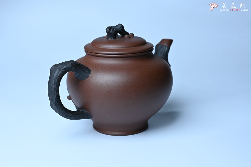 紫砂壶图片：美壶特惠 精致报春系列之松报春壶 - 全手工紫砂壶网