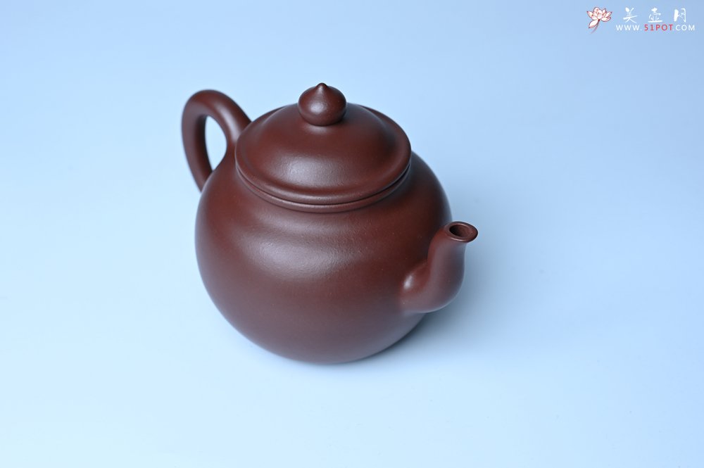 紫砂壶图片：油润黄龙山4号深井红皮龙 全手工高宫灯壶 东西灰常赞 - 全手工紫砂壶网