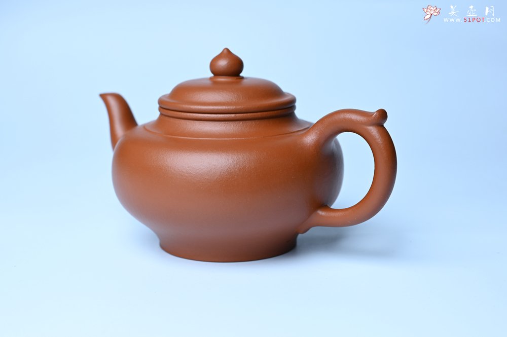 紫砂壶图片：潜力股周小培全手工演绎朱泥笑樱壶 中品难度大 - 全手工紫砂壶网