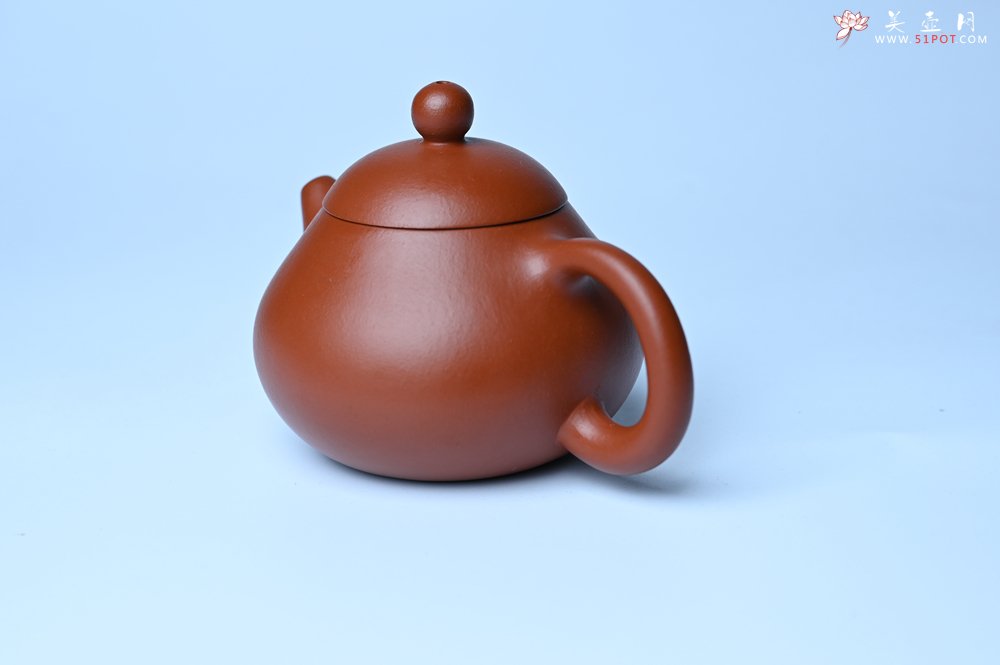 紫砂壶图片：美壶特惠定制最新实用力作 优质精致朱泥文旦壶 养后特润 - 全手工紫砂壶网