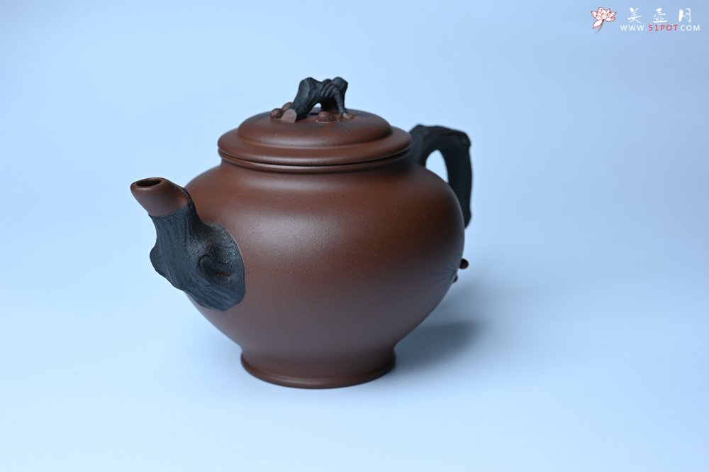 紫砂壶图片：美壶特惠 精致报春系列之松报春壶 - 全手工紫砂壶网