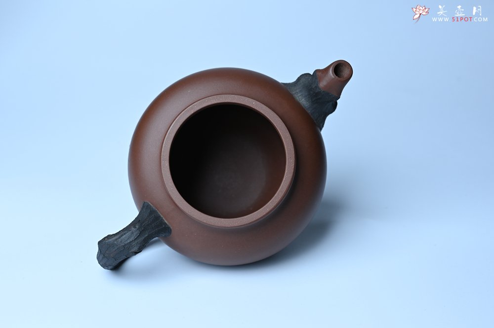 紫砂壶图片：美壶特惠 精致报春系列之松报春壶 - 全手工紫砂壶网