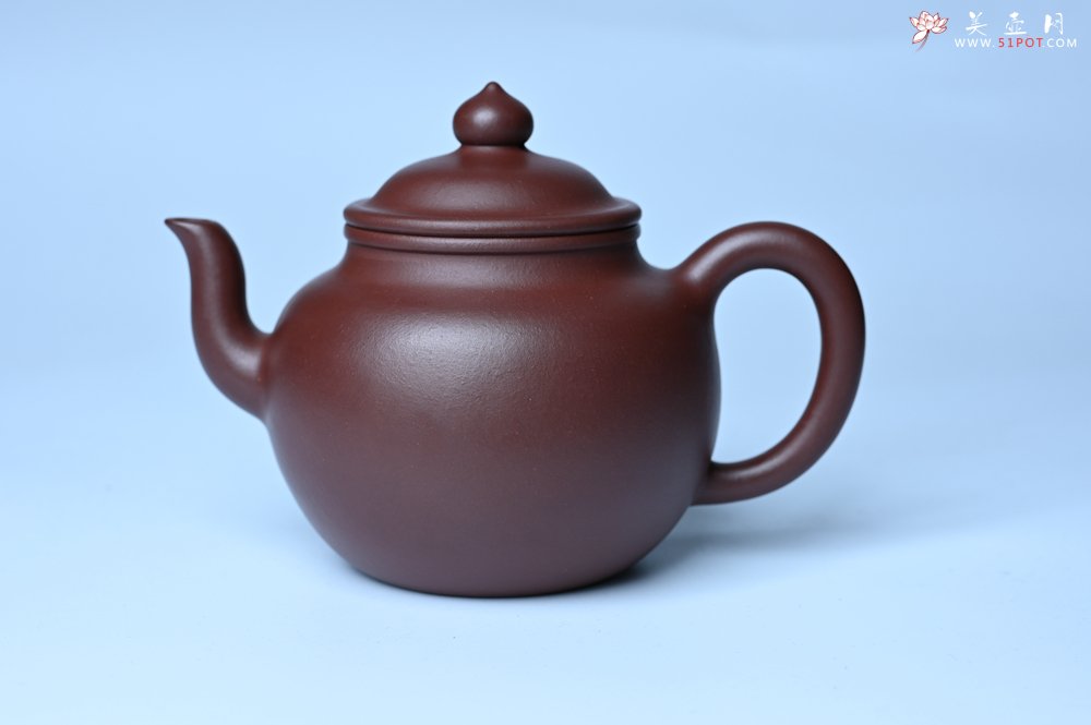 紫砂壶图片：油润黄龙山4号深井红皮龙 全手工高宫灯壶 东西灰常赞 - 全手工紫砂壶网