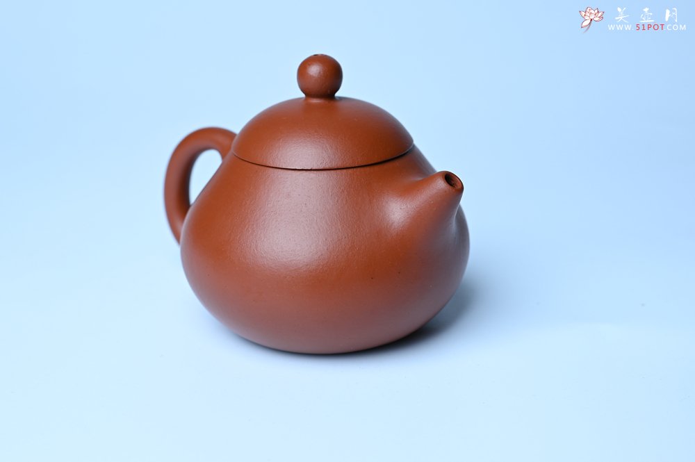 紫砂壶图片：美壶特惠定制最新实用力作 优质精致朱泥文旦壶 养后特润 - 全手工紫砂壶网