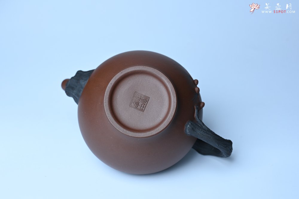 紫砂壶图片：美壶特惠 精致报春系列之松报春壶 - 全手工紫砂壶网