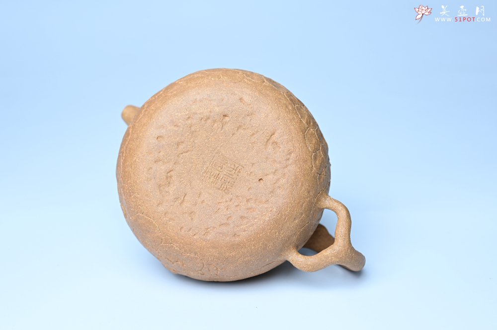 紫砂壶图片：潜力股赵老师实力演绎全手工老黄段泥灵芝游龙供春壶 游龙传福 不失为一把好壶 - 全手工紫砂壶网