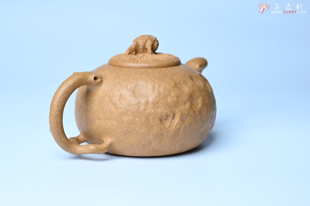 紫砂壶图片：潜力股赵老师实力演绎全手工老黄段泥金蟾供春壶 金蟾灵动 不失为一把好壶 - 全手工紫砂壶网