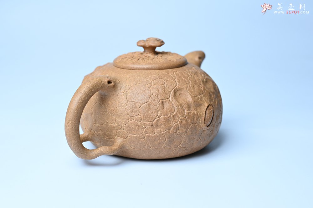 紫砂壶图片：潜力股赵老师实力演绎全手工老黄段泥灵芝游龙供春壶 游龙传福 不失为一把好壶 - 全手工紫砂壶网