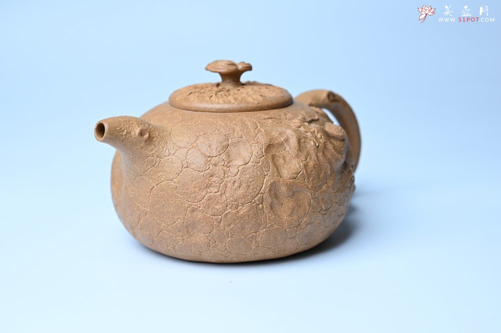 紫砂壶图片：潜力股赵老师实力演绎全手工老黄段泥灵芝游龙供春壶 游龙传福 不失为一把好壶 - 全手工紫砂壶网